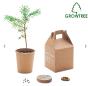 Kit Grow Tree avec graines